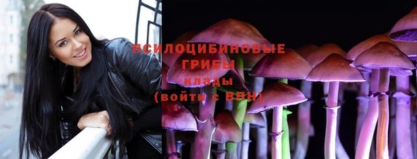 эйфоретик Богородск