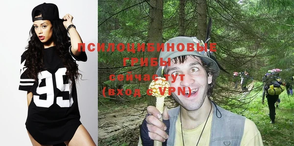 эйфоретик Богородск
