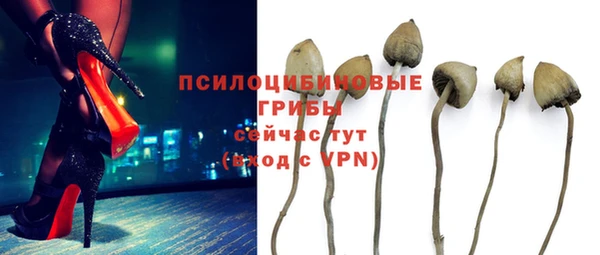 кокаин Богданович